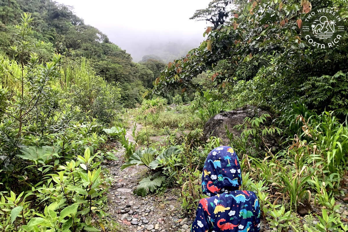 Kid in a raincoat walking on a jungle trail
