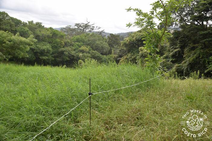 Fencing Regenerative Farming