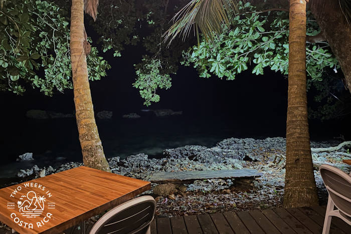 Pizzeria Cahuita Tables Outside