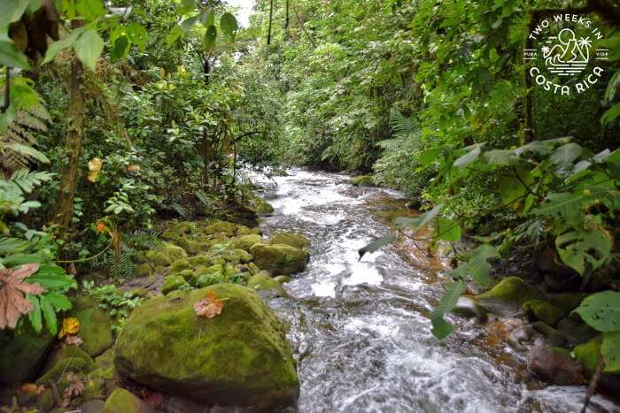 Agrio River Bajos del Toro