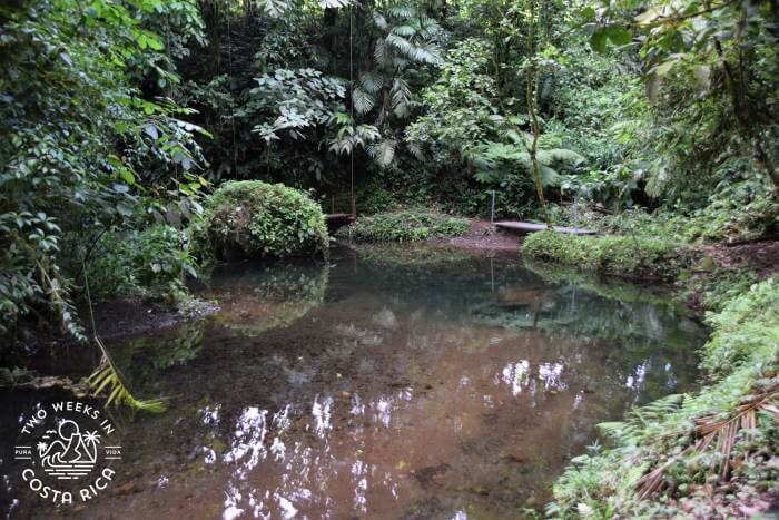 River Pozas La Presa
