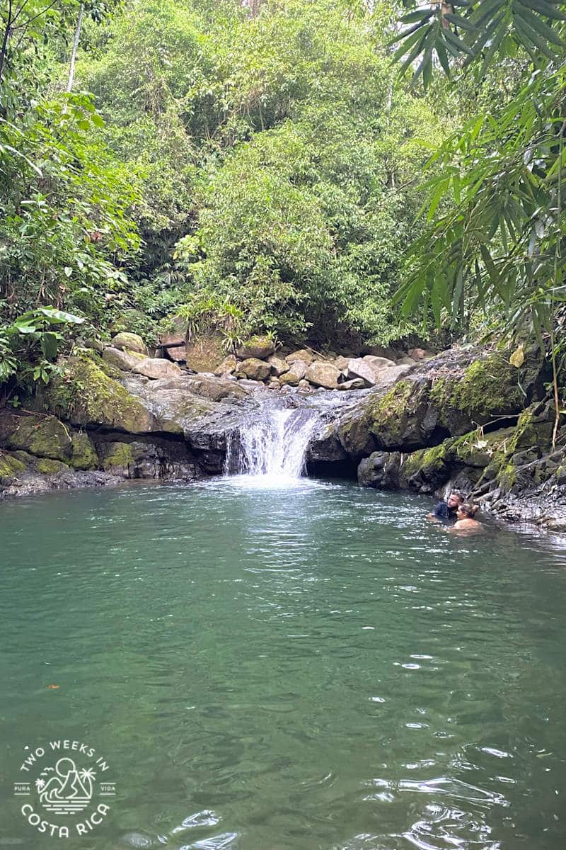small waterfall flowing into a green pool with thick forest around