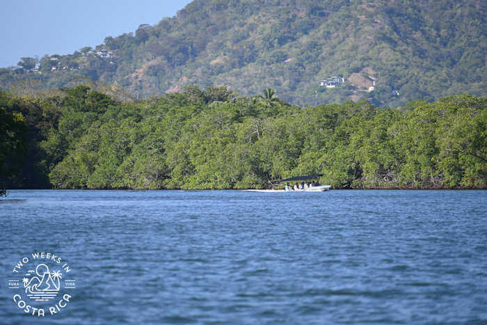 A boat cutting through the water within the Tamarindo estuary in Guanacaste