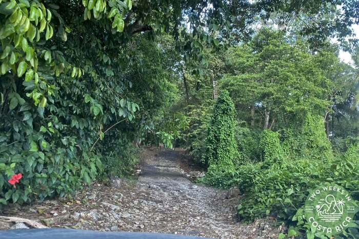 Road to King Louis Waterfall