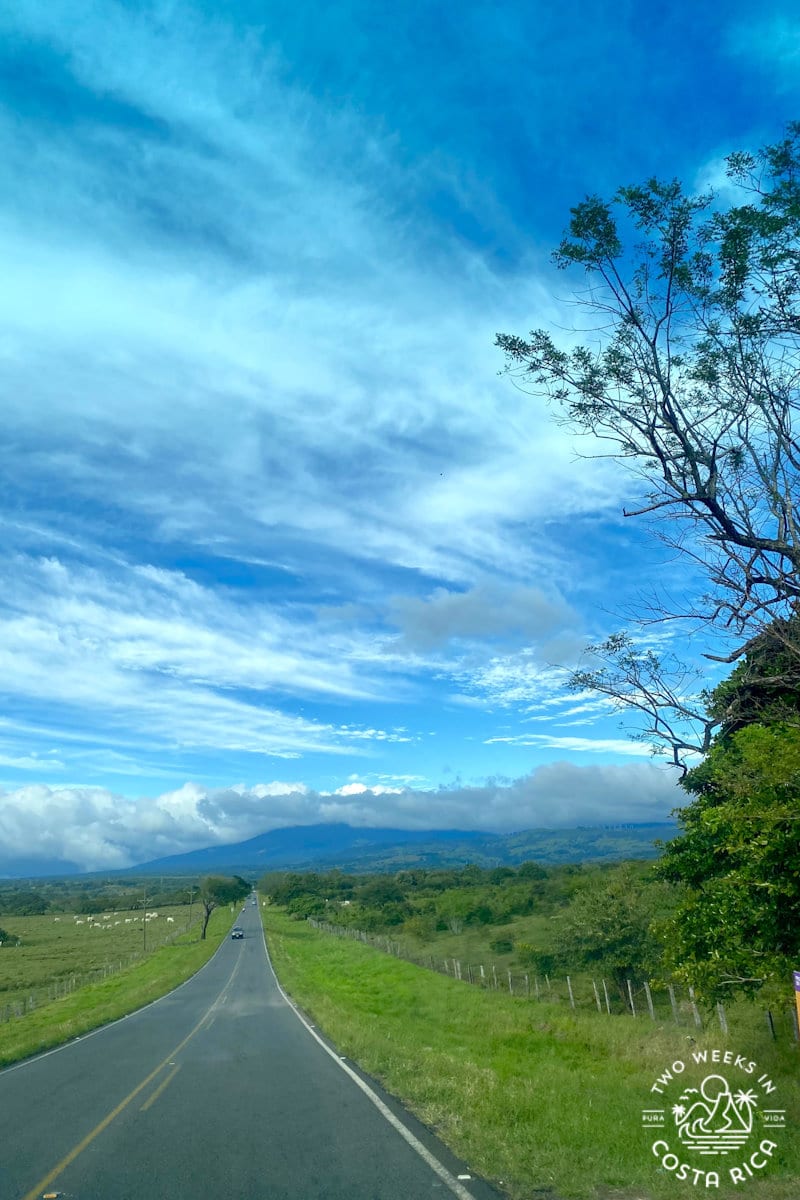 paved road with cows in a field and mountains in the background with blue sky