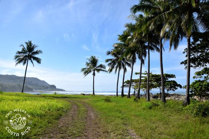 Getting to the tide pools