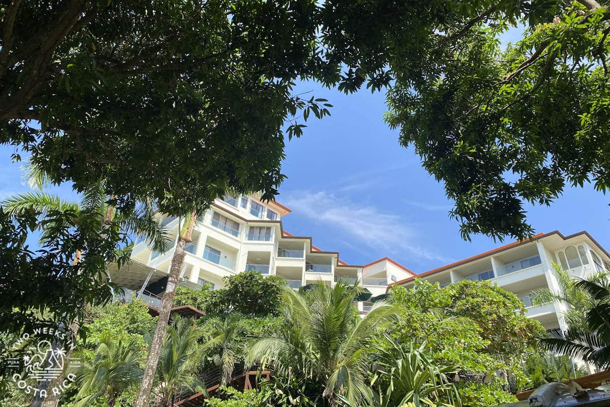 looking at a white hotel building from behind the trees