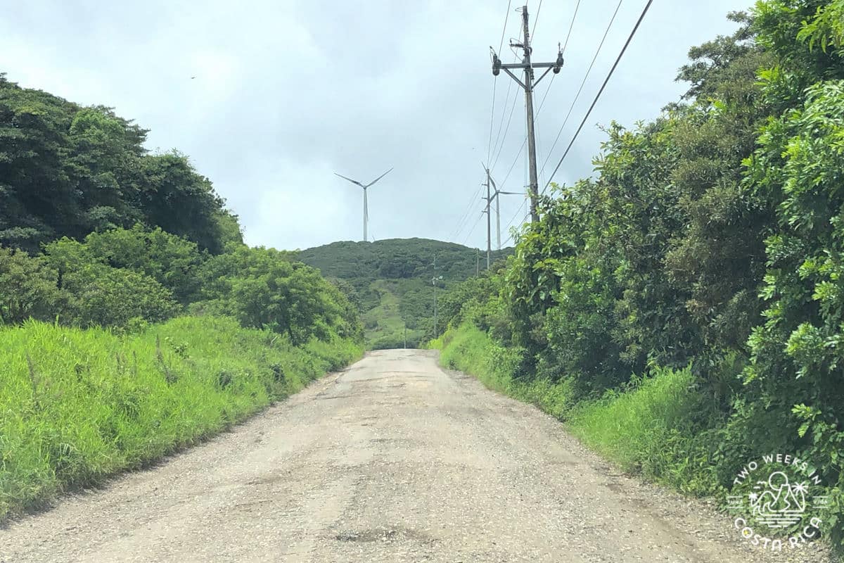 An empty dirt road with shrubs on each side and wind turbines in the distance