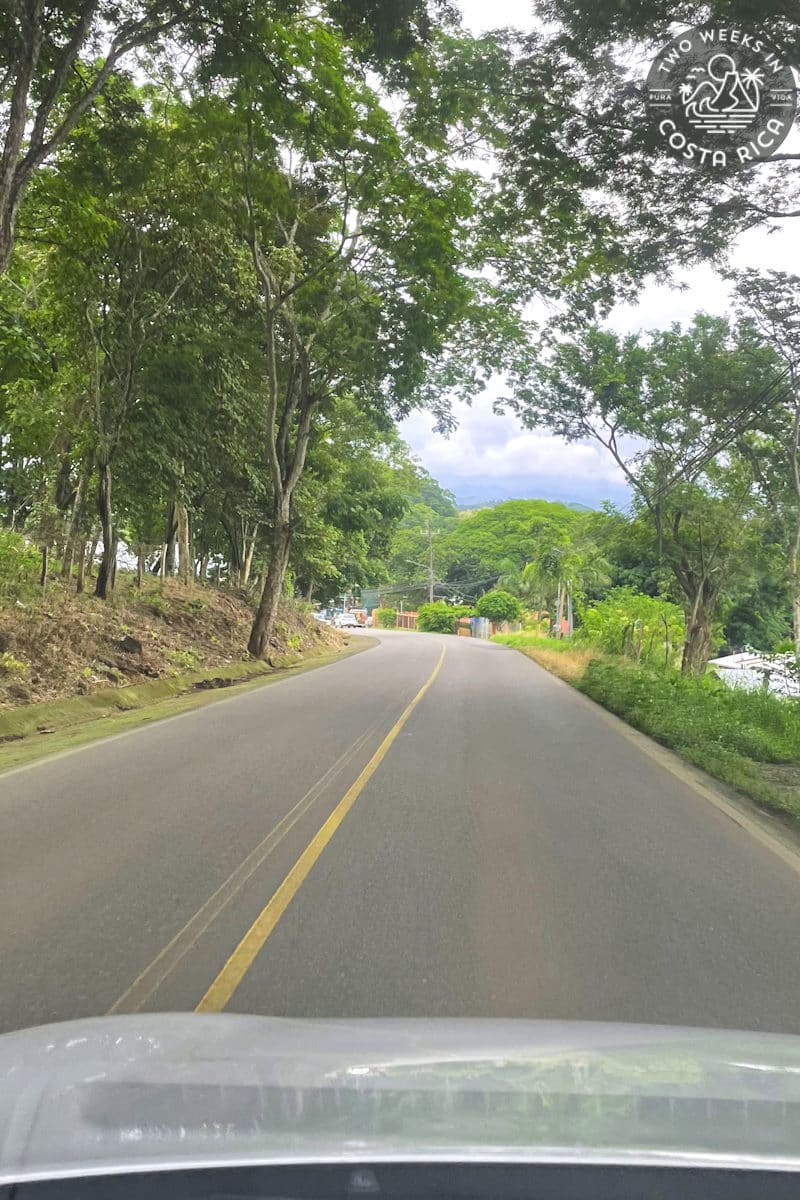 A flat paved road with trees on either side
