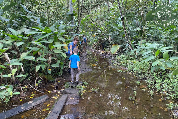People walking through mud puddle