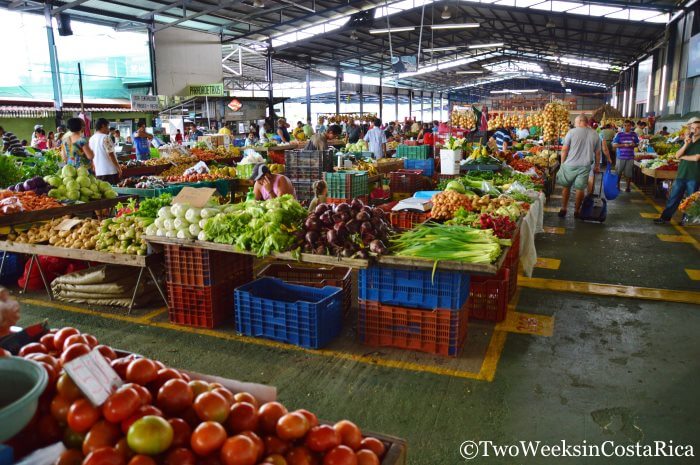 Many vendors at the San Isidro del General Farmers Market 