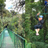 Selvatura Zipline + Guided Hanging Bridges - From Monteverde