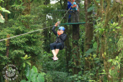 Ziplining Selvatura