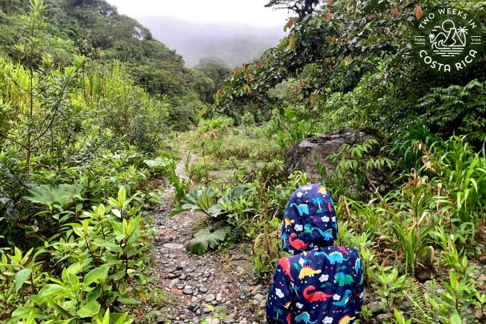 a child walking on the Kettle Trail near the river