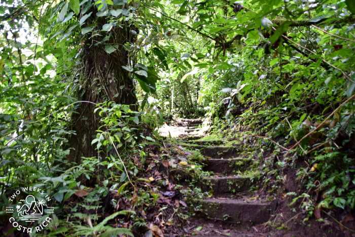 Challenging hike El Silencio La Fortuna