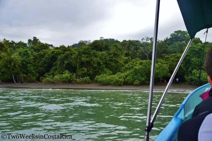 View of the shore near Sirena Ranger Station from a boat