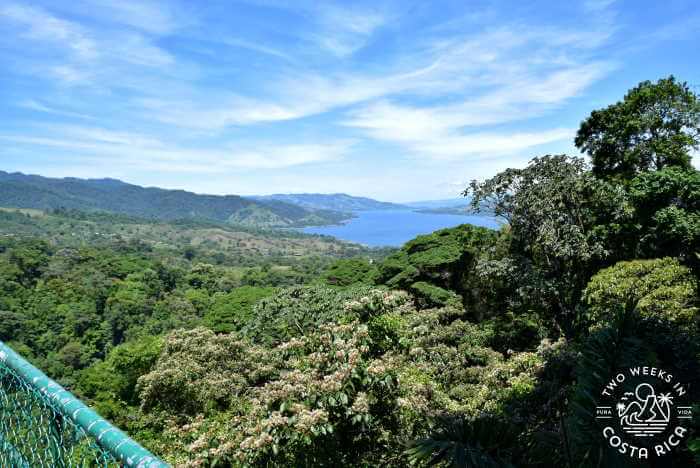 Sky Adventures Hanging Bridges Hike Arenal