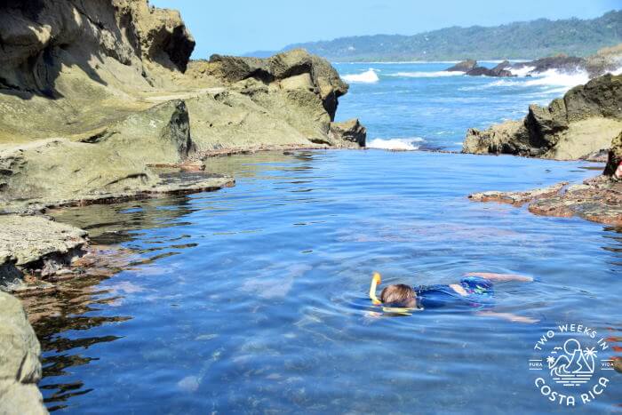 Swimming in tide pool
