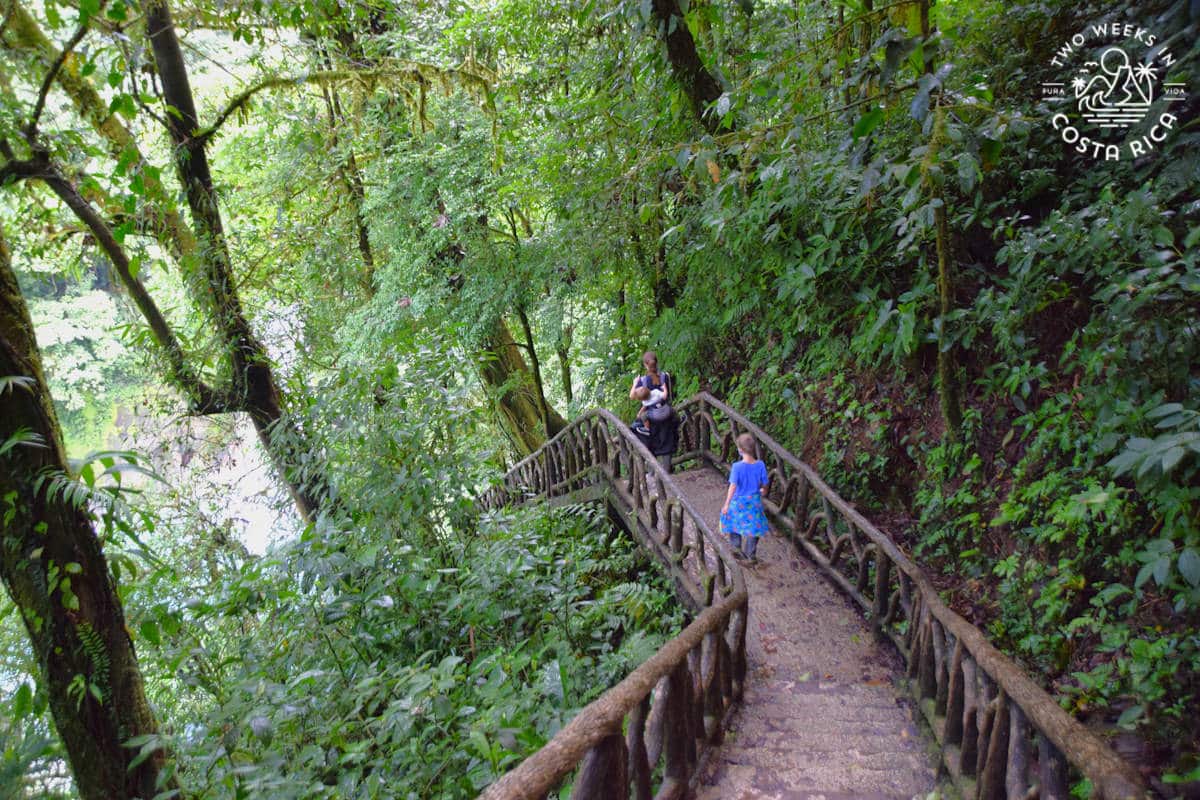 people walking down concrete stairs to a waterfall