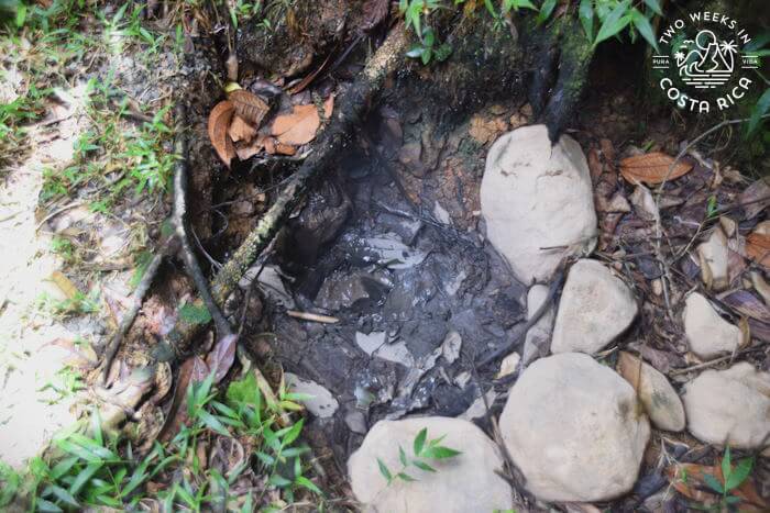 Steam vent El Jilguero