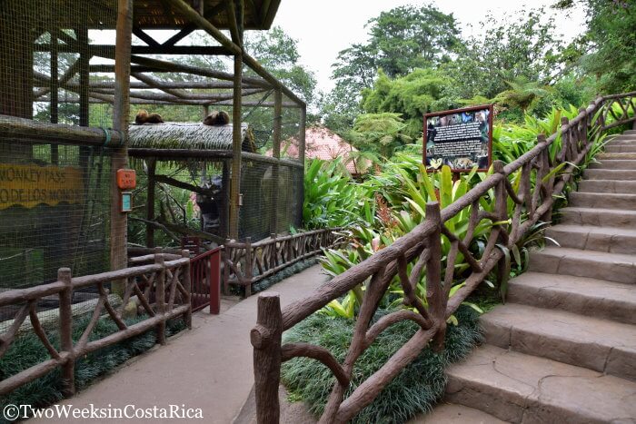 Stairs at La Paz Waterfall Gardens