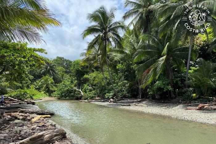 River emptying into Playa Ventanas 