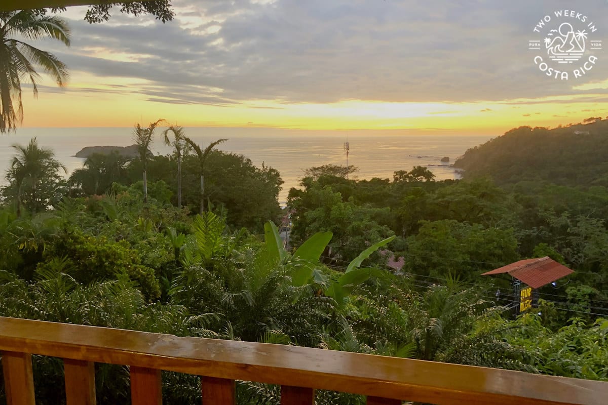 looking over a wooden railing at the ocean with thick forest in the foreground