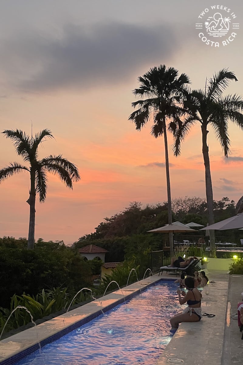 sunset with palm trees