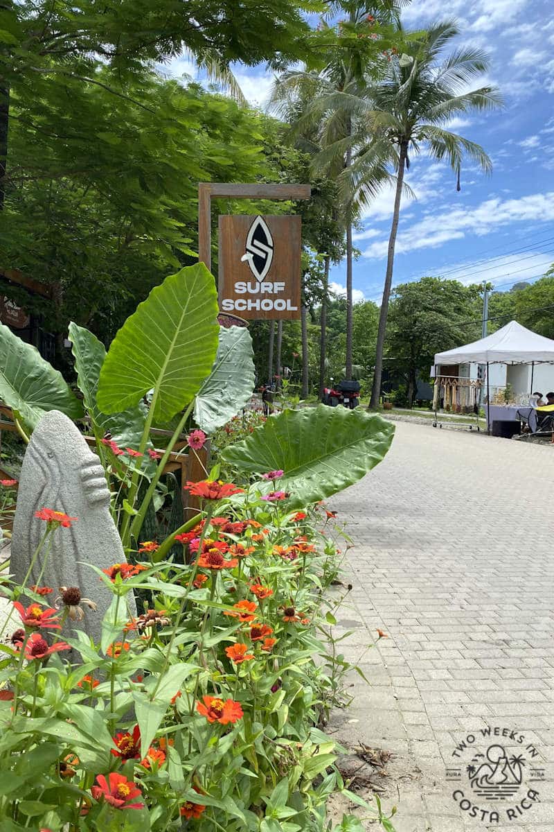a nice road in nosara with flowers and a sign that says surf school