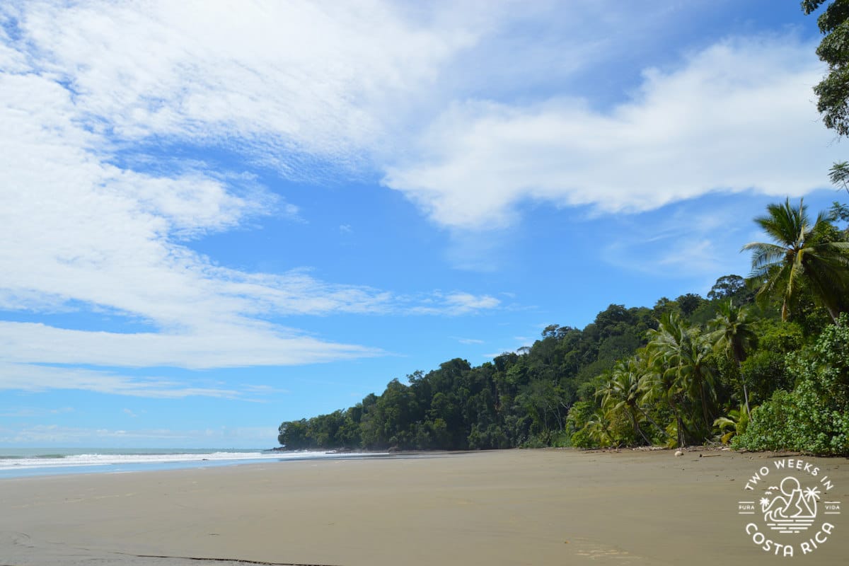 a brown sand beach with a jungle-covered hill in the background