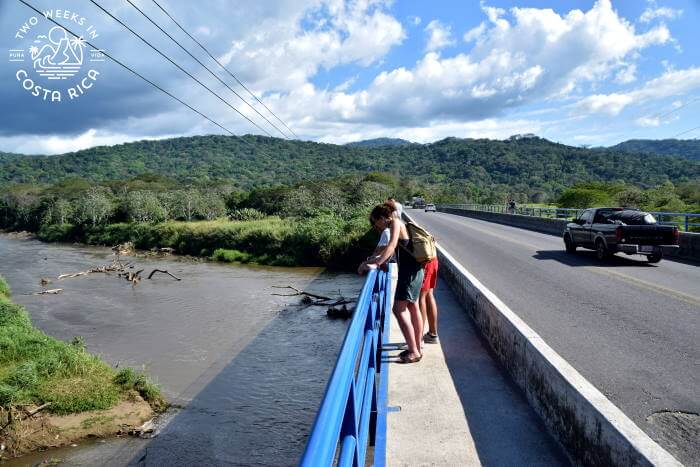 people looking down over the Tarcoles River Crocodile Bridge