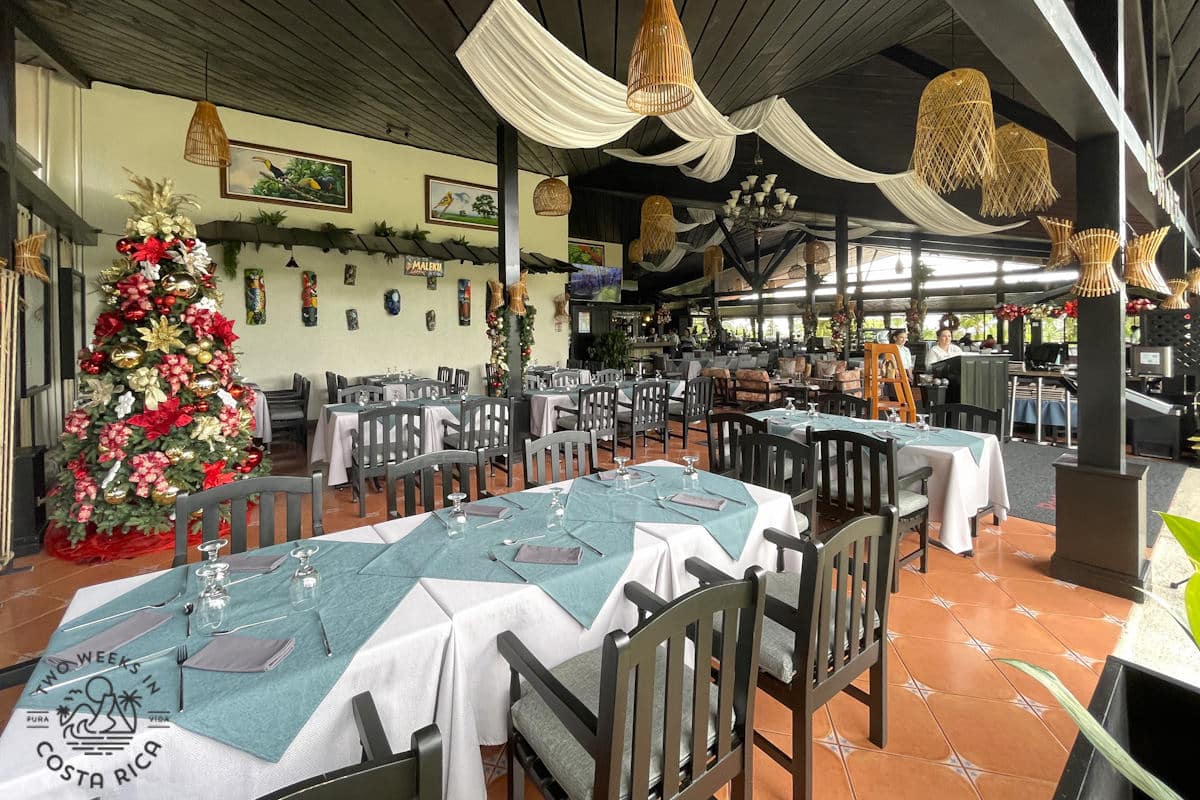 room with many tables and a christmas tree