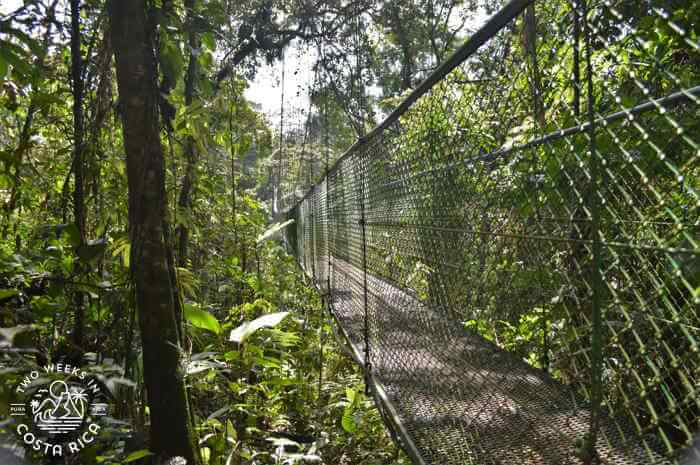 Tirimbina Lodge Reserve