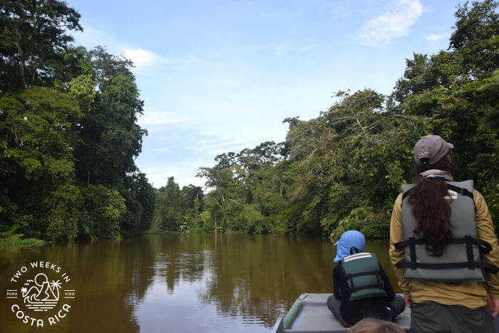 A man and child at the front of a small boat in Tortuguero with a murky waterway and large trees in the background 