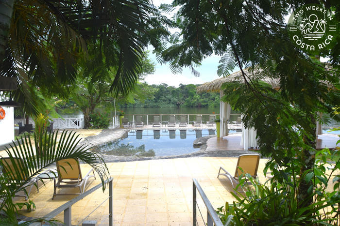 view of a lagoon pool at Tortuga Lodge from behind palm trees with lounge chairs in background