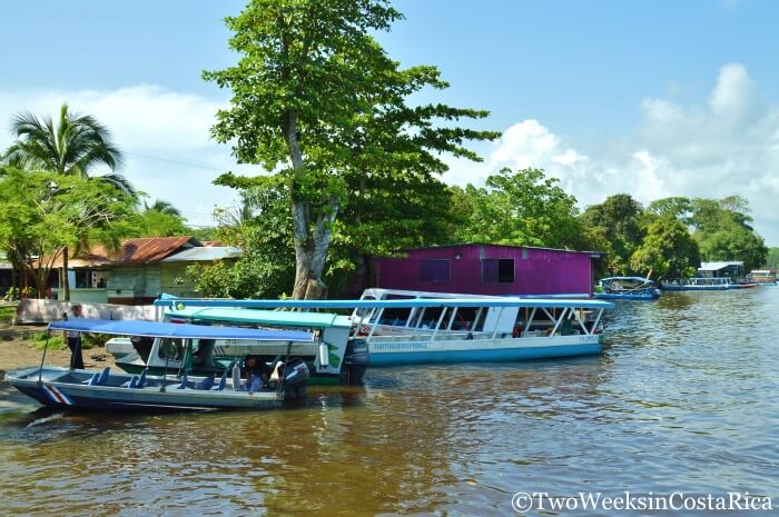 boat taxis parked at the dock in tortuguero costa rica