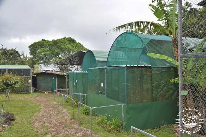 Enclosures Toucan Rescue Ranch