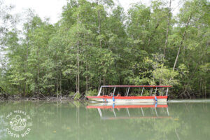 Boat Tour Isla Damas