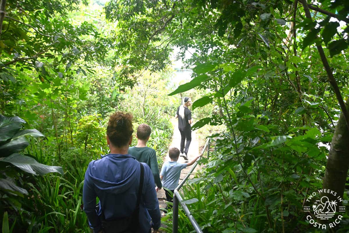 people walking on a forest trail at monteverde butterfly gardens