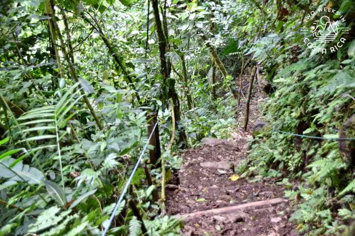 The simple dirt trail