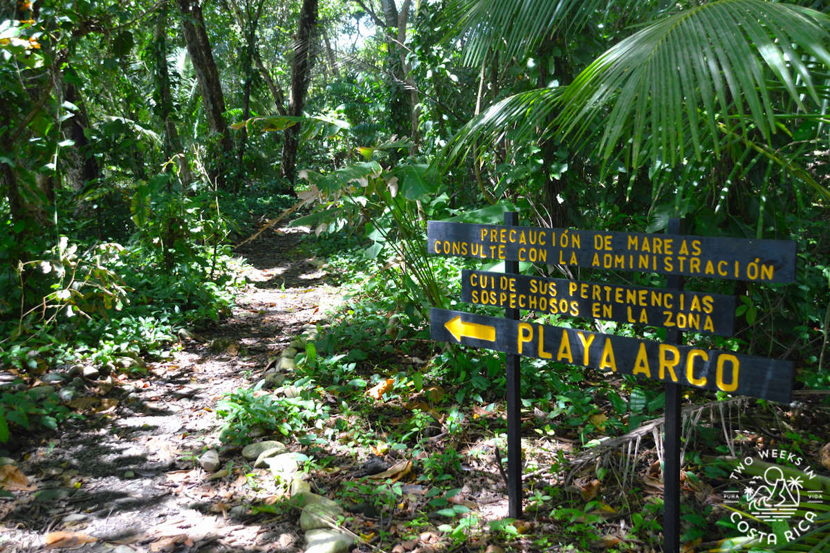 a trail through the rainforest with a sign that says playa arco