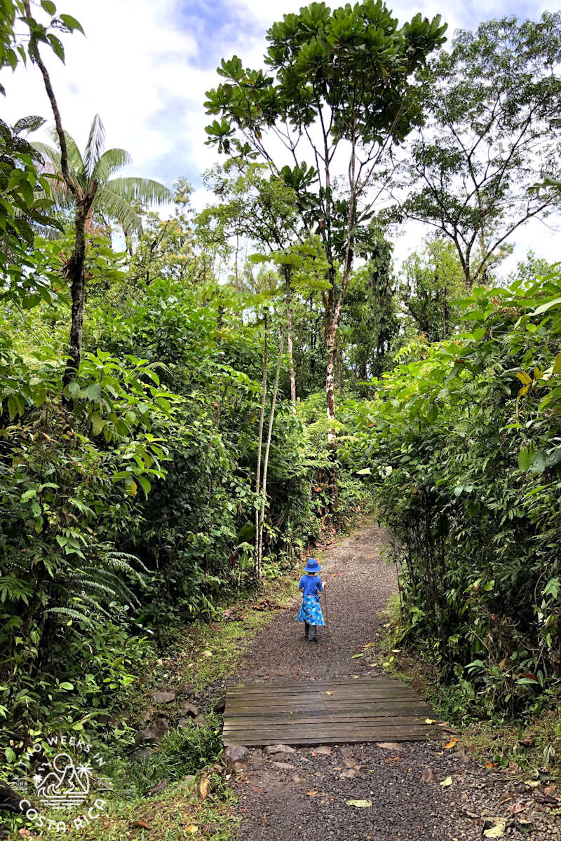 child walking on a paved path through the forest