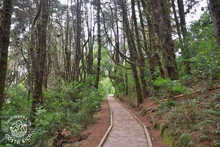 Sendero Los Cipreses