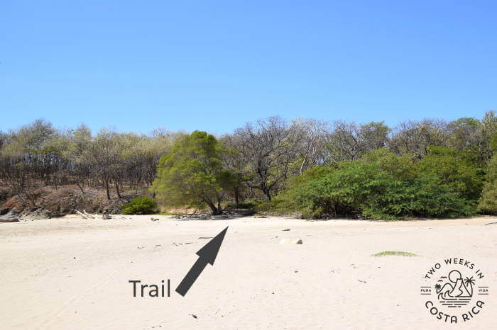 Trailhead Playa Carbon