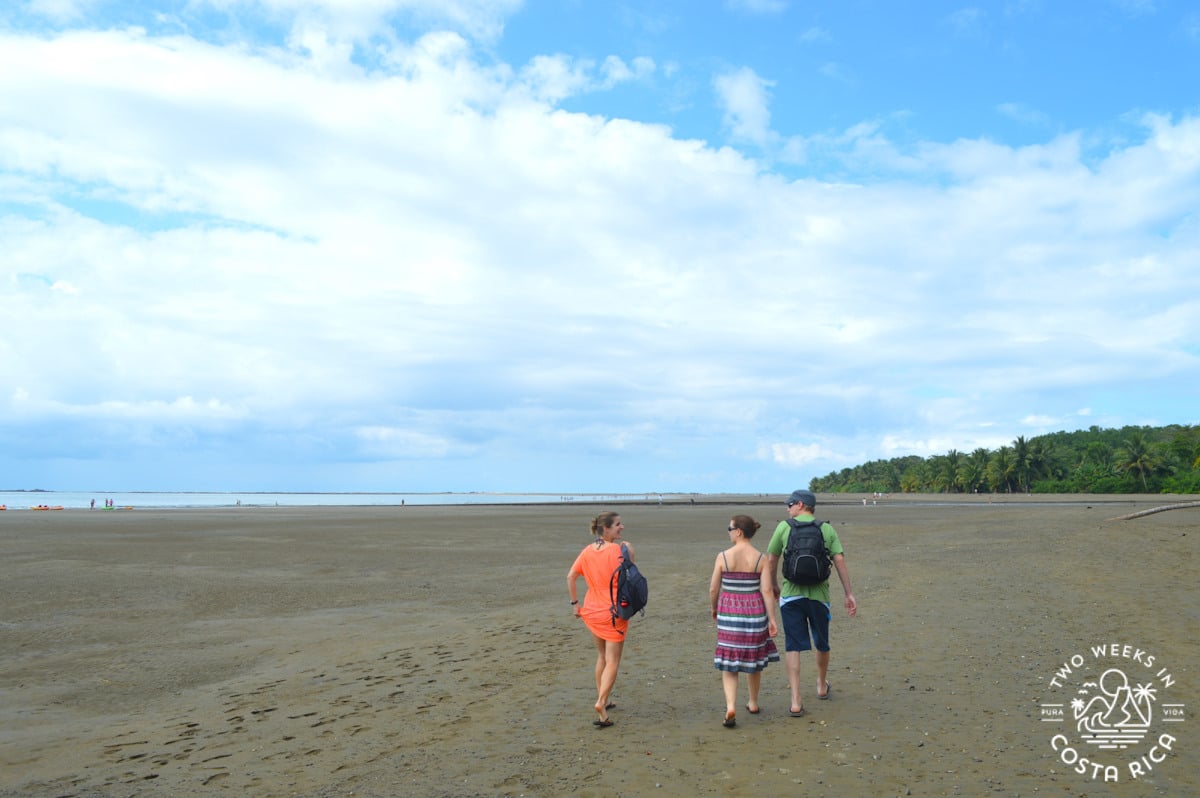 people walking on the beach at low tide