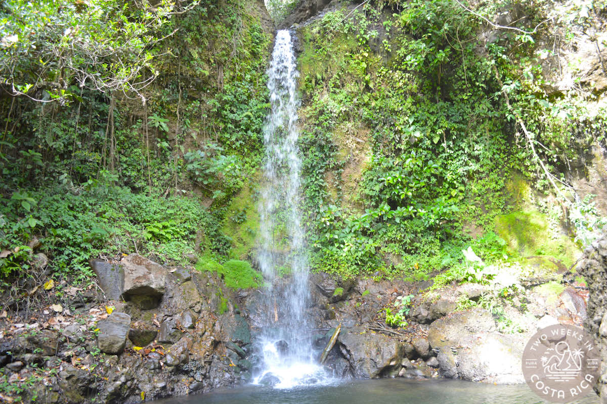 a thin waterfall at viento fresco in costa rica