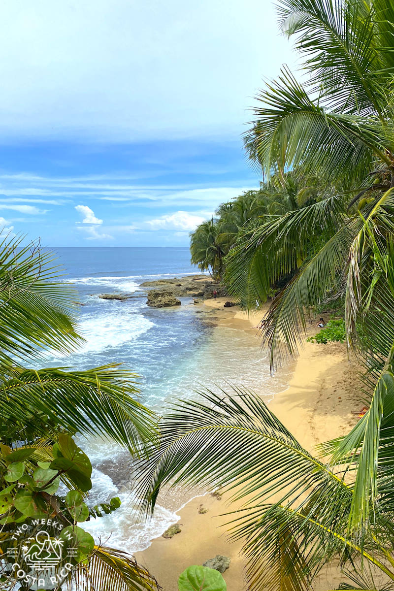 miss may ocean view at gandoca manzanillo refuge in costa rica