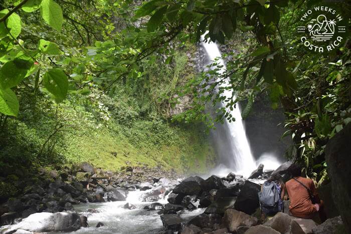 Side view of waterfall with river and trees
