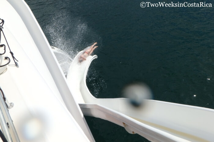 Waterslide aboard the Ocean King Catamaran