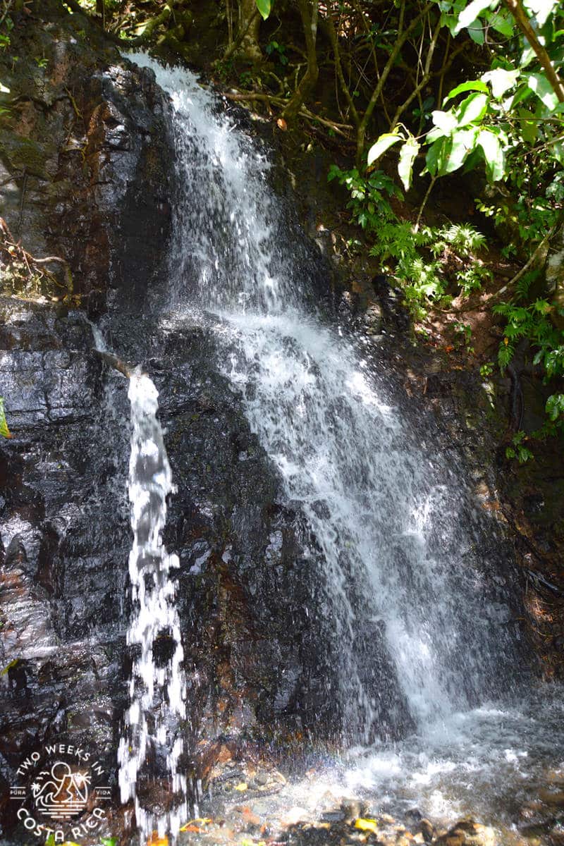 a small waterfall flowing over rocks at arca beach in uvita